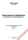 Intermezzo from Cavalleria Rusticana - P.Mascagni - tuba quartet Gionanidis