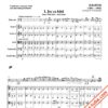 Rumanian Folk Dances - B.Bartok - tuba and string orchestra - Image 2