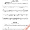 Rumanian Folk Dances - B.Bartok - tuba and string orchestra - Image 4